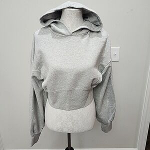 Aerie Women's Ultra-Soft Thick Cropped Hoodie with Thumbholes Cozy Fleece Gray L